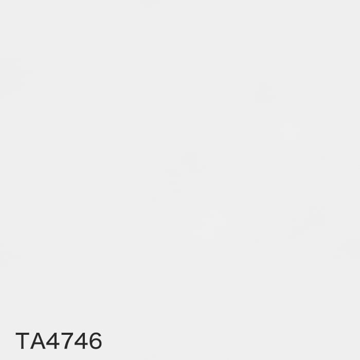 TA4746 単色