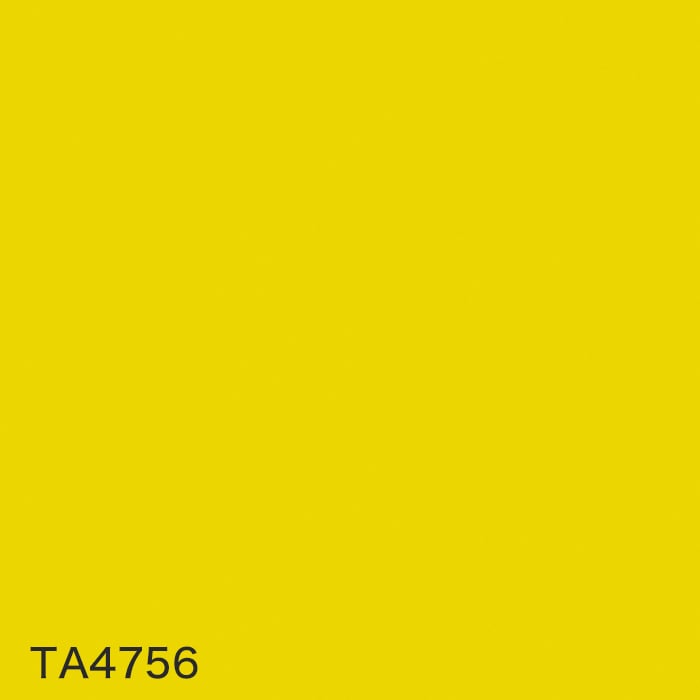 color chip