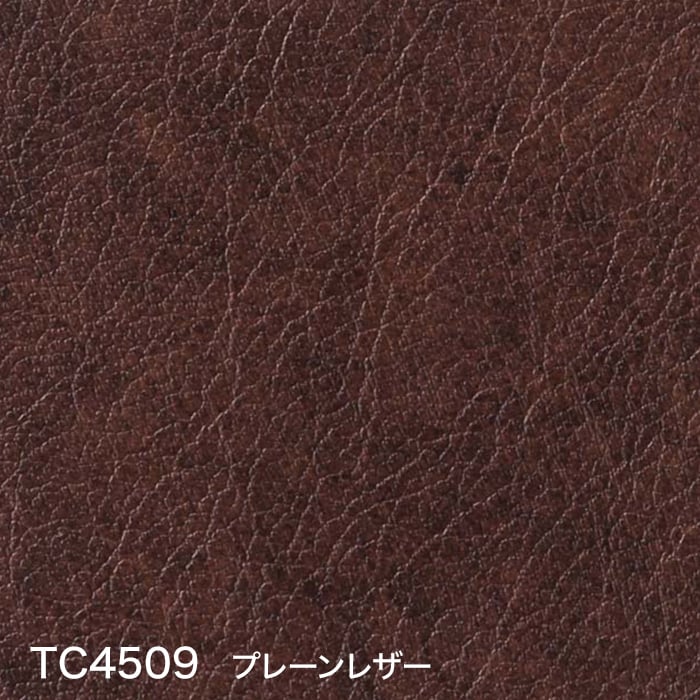 TC4509 プレーンレザー