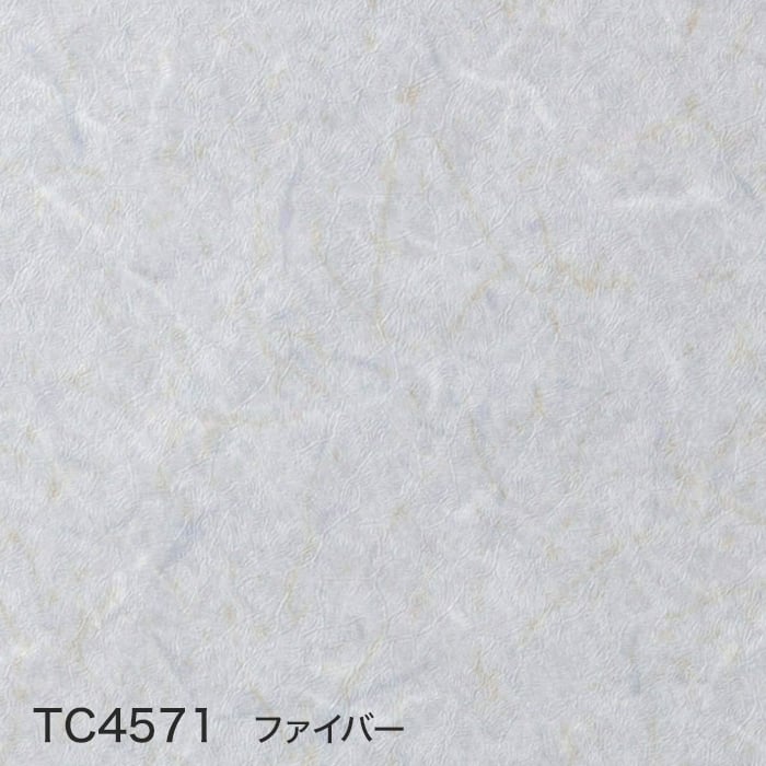 color chip