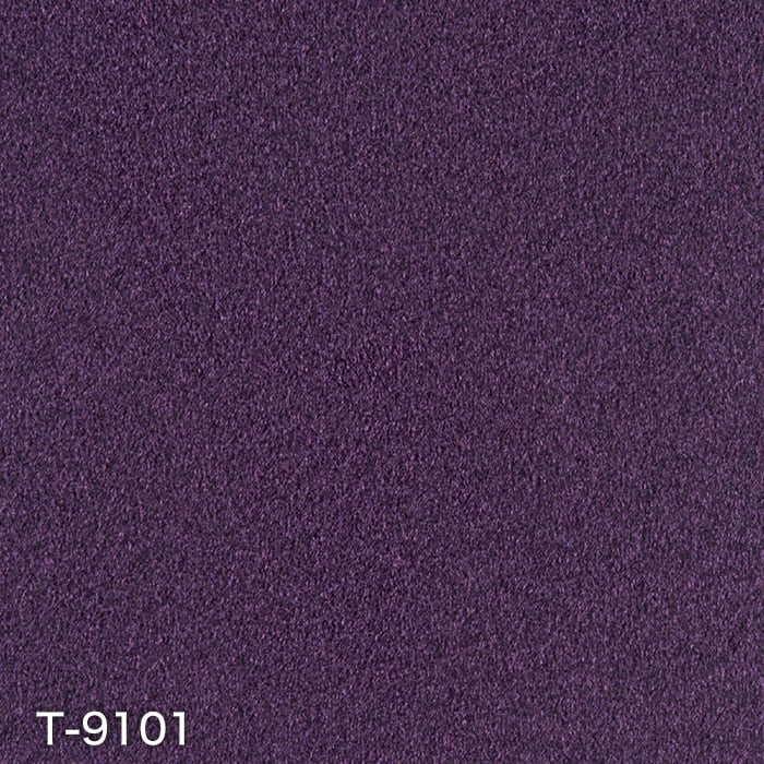 T-9101