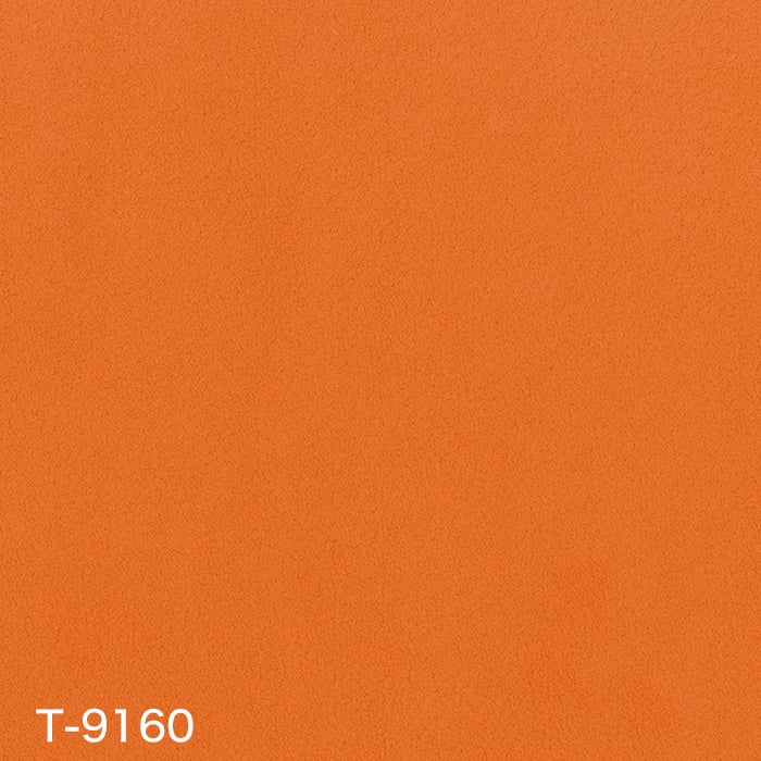 color chip
