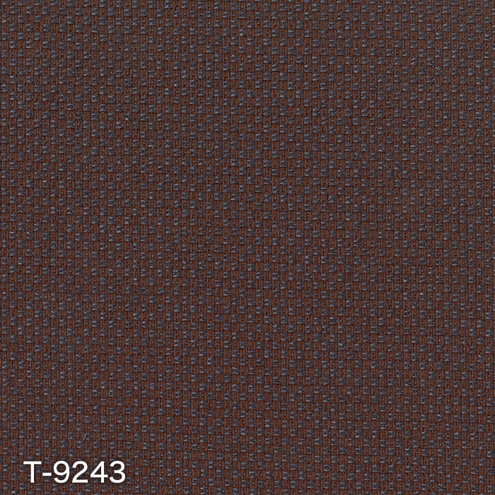 T-9243