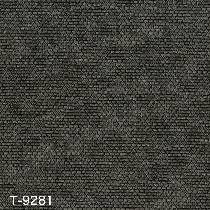 color chip