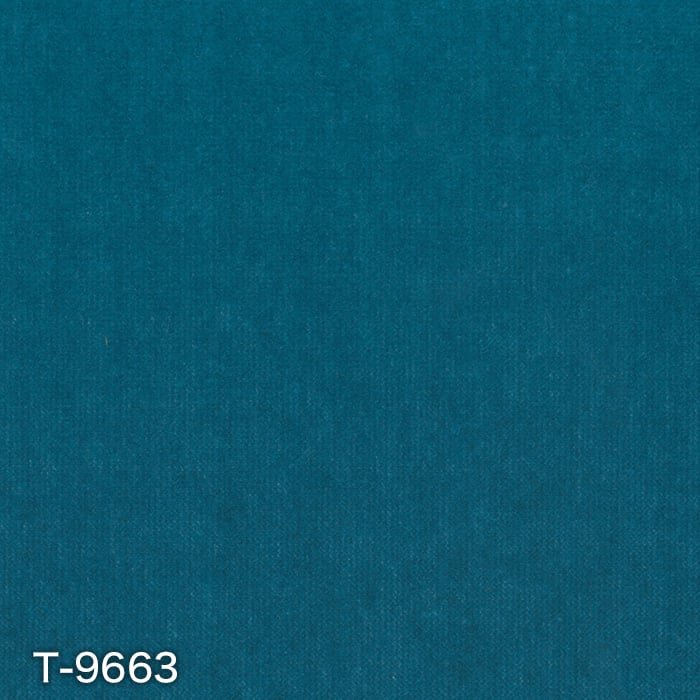 color chip