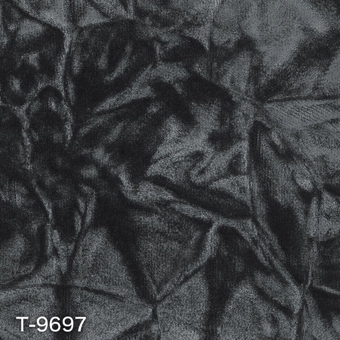 T-9697