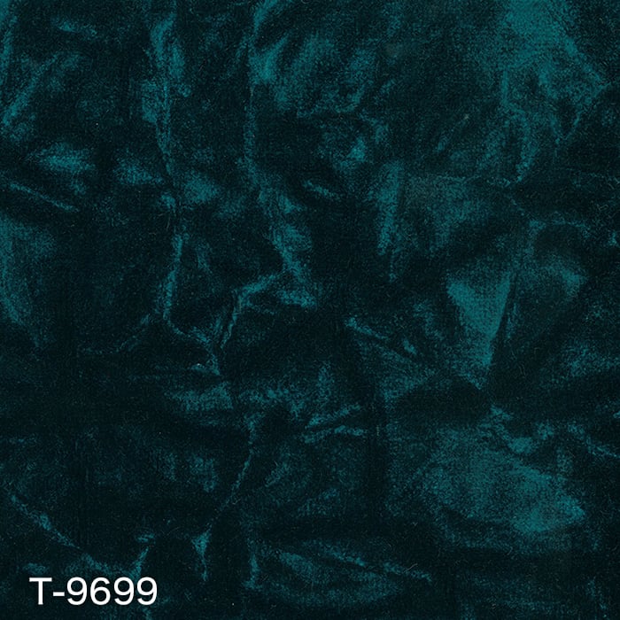 T-9699