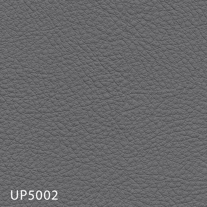 color chip