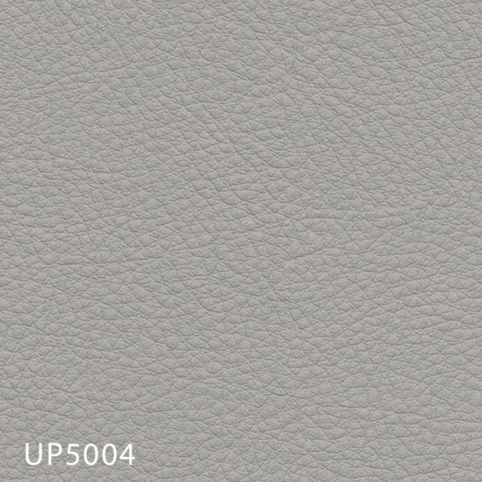 color chip
