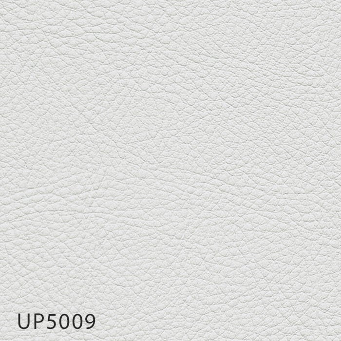 color chip