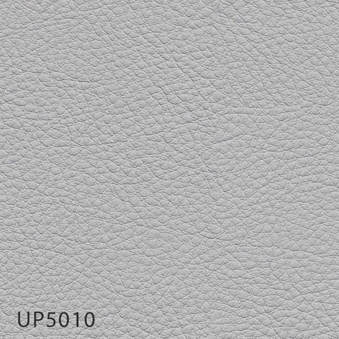color chip