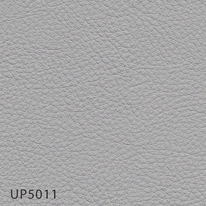 color chip