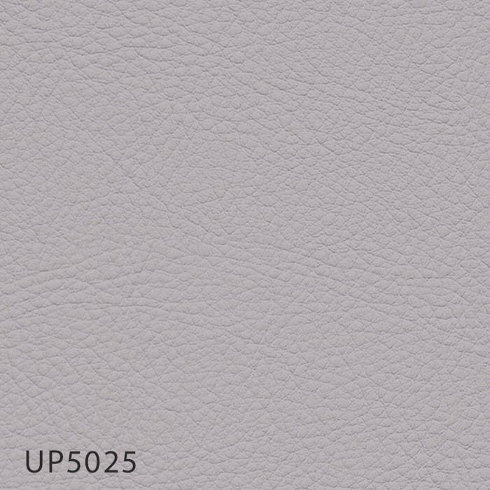color chip