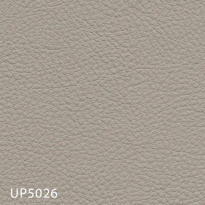 color chip