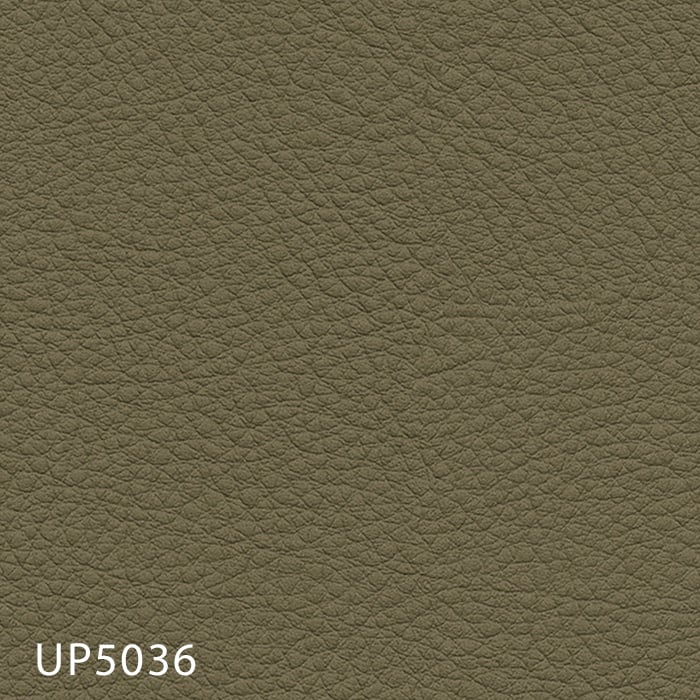 color chip