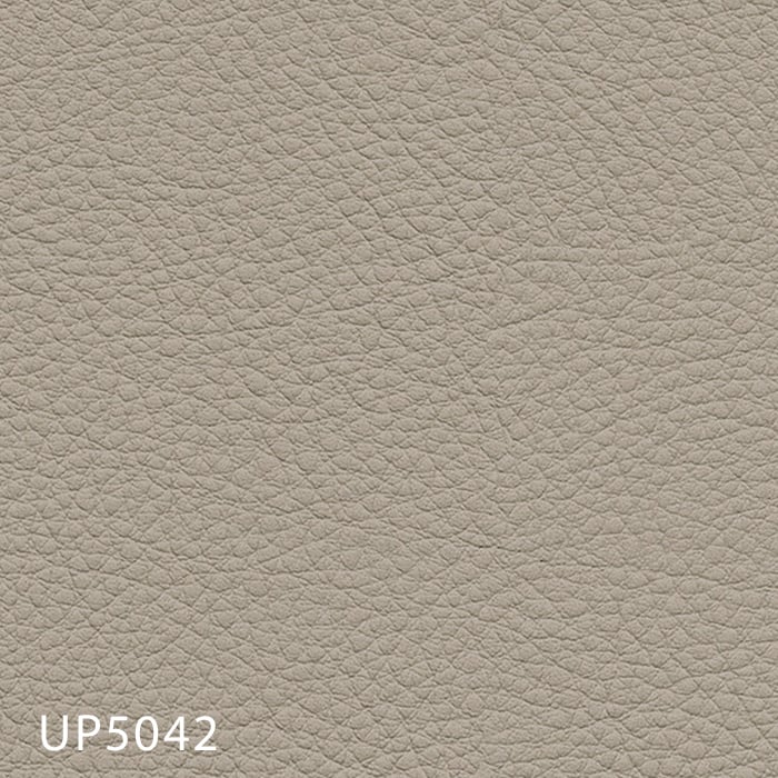 color chip