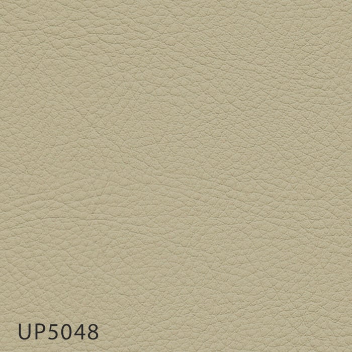 color chip