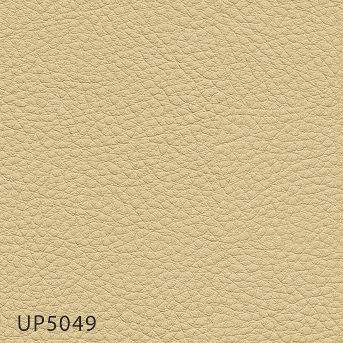 color chip