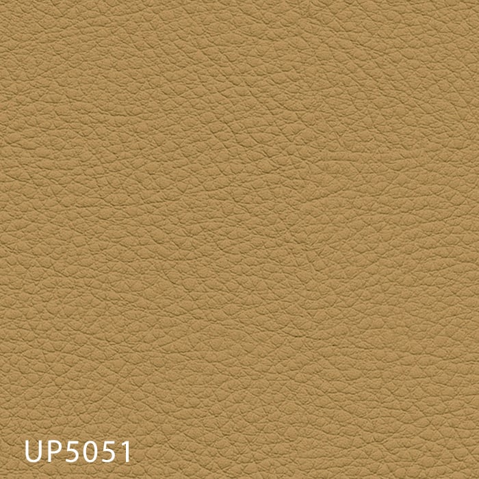 color chip