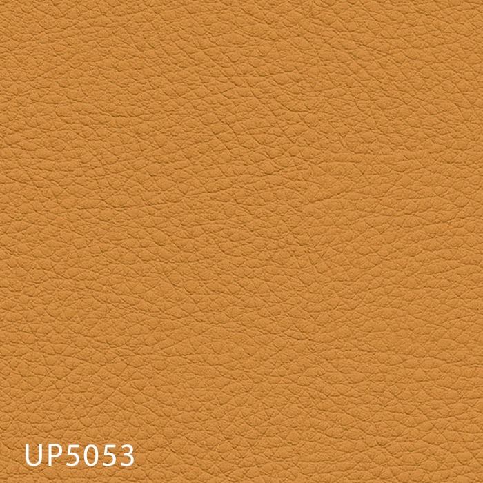 color chip