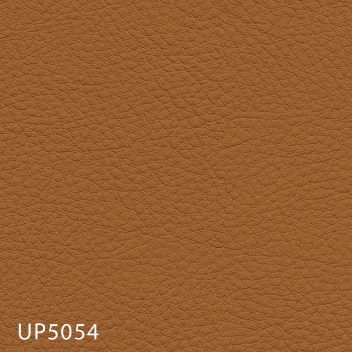 color chip