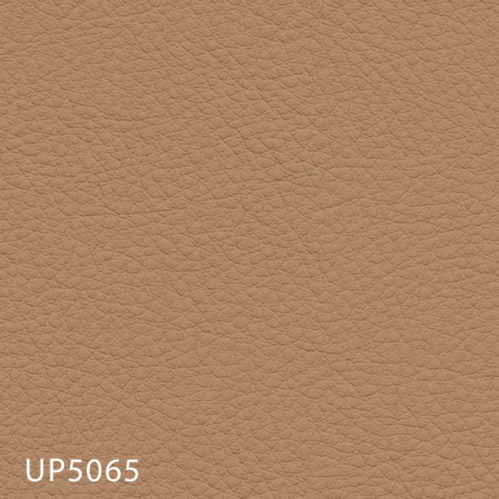 color chip