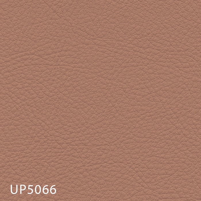 color chip