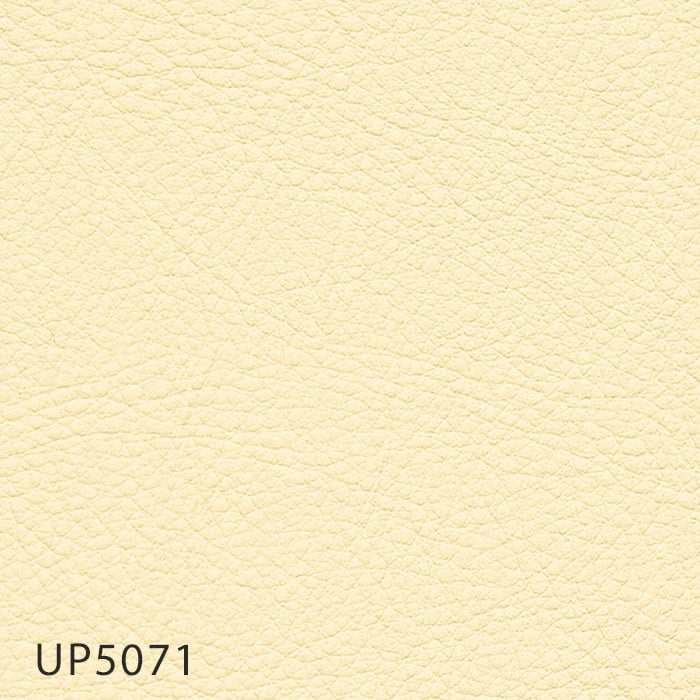color chip