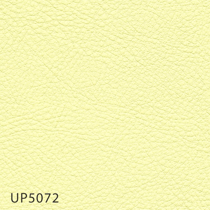 color chip