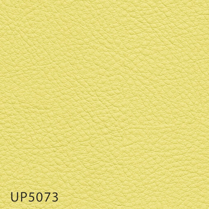 color chip