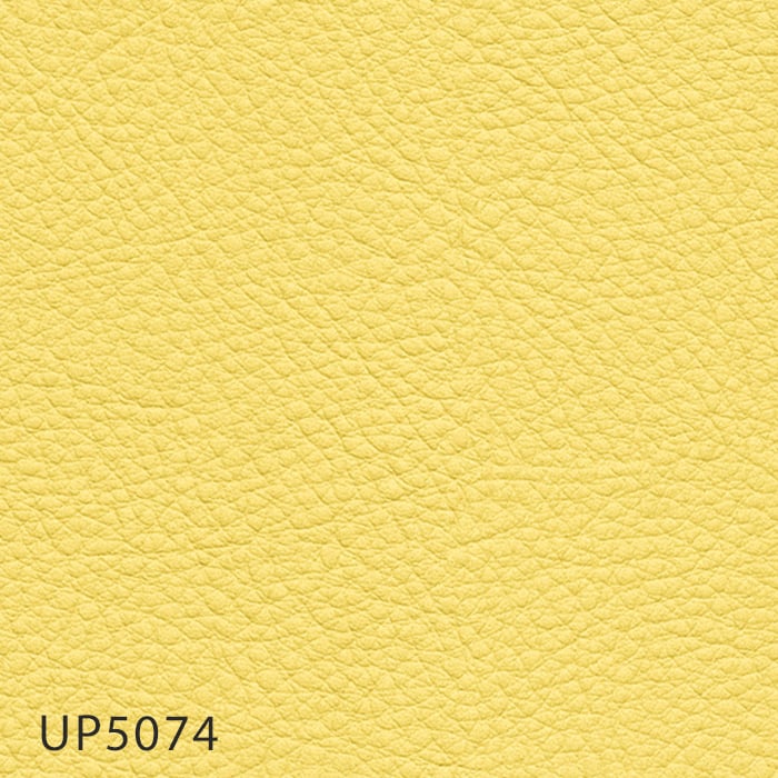 color chip