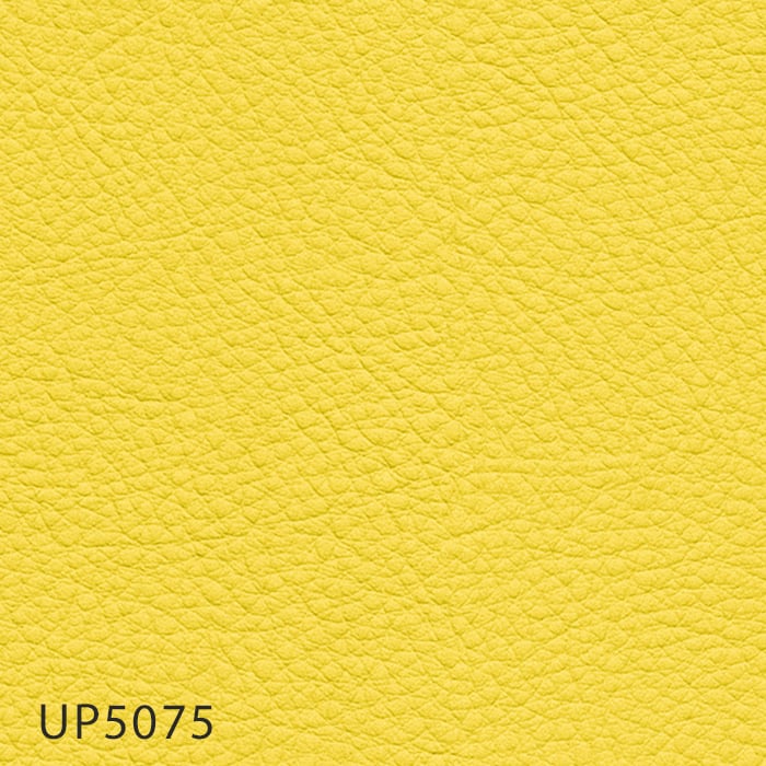color chip