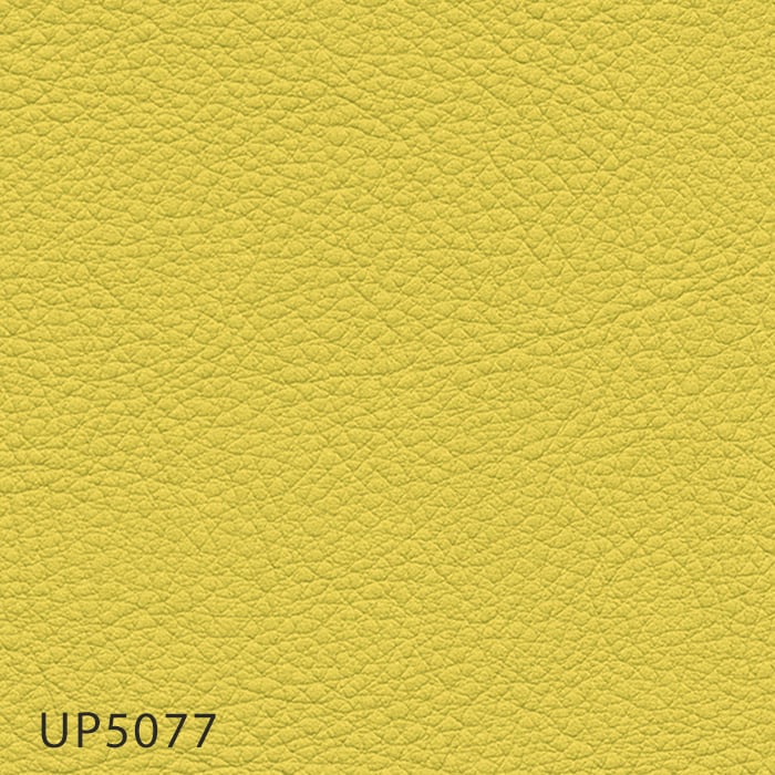 color chip