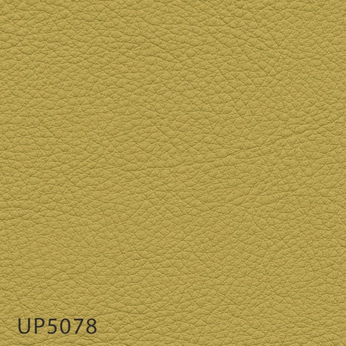 color chip