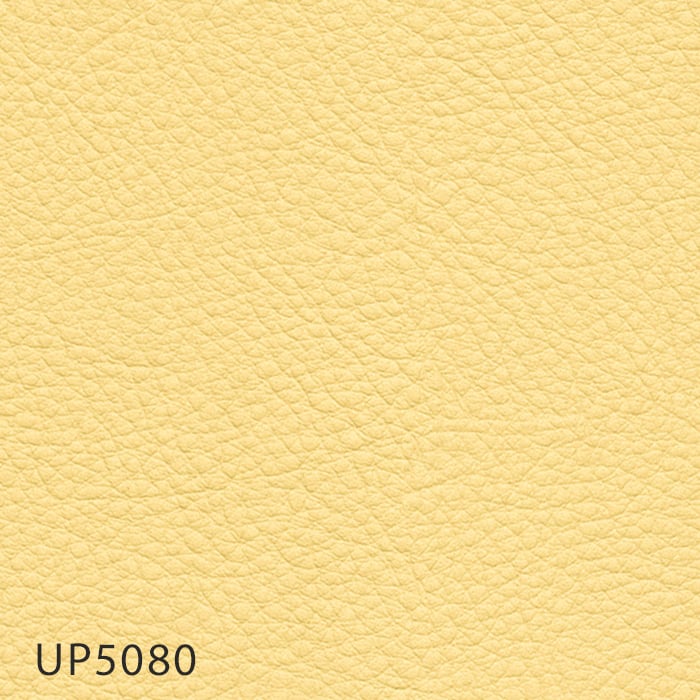 color chip