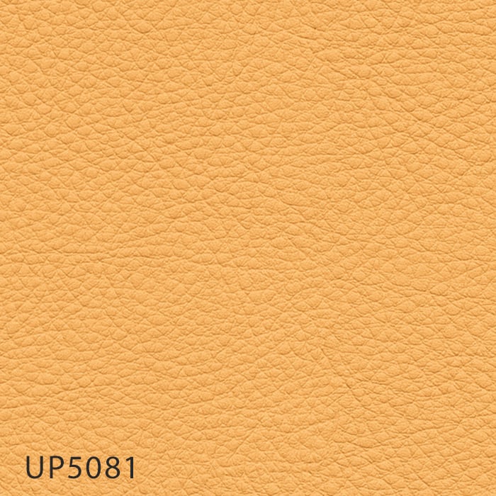color chip