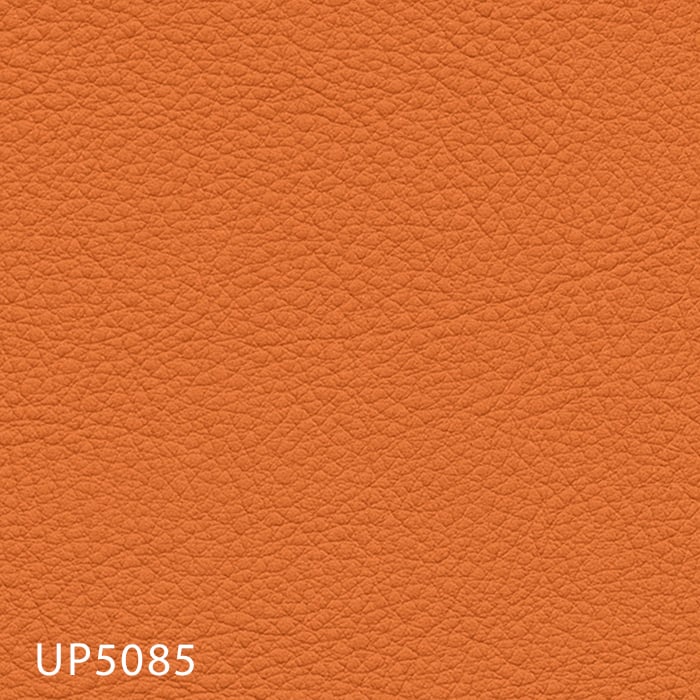 color chip