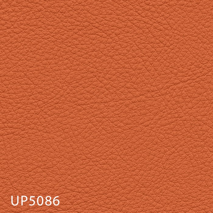color chip