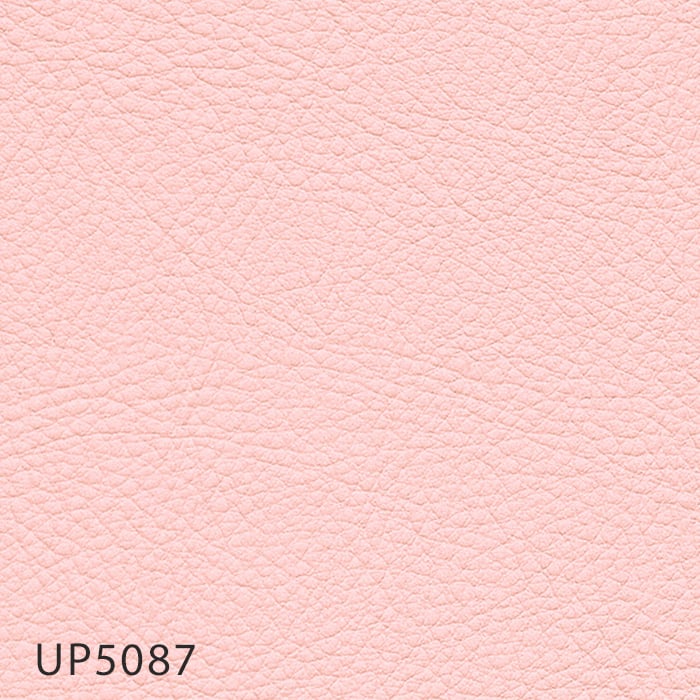 color chip
