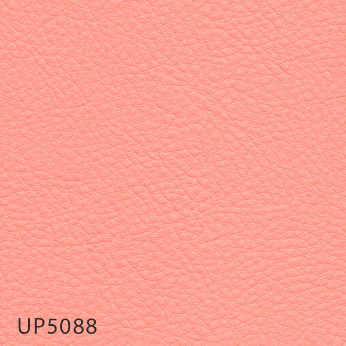 color chip
