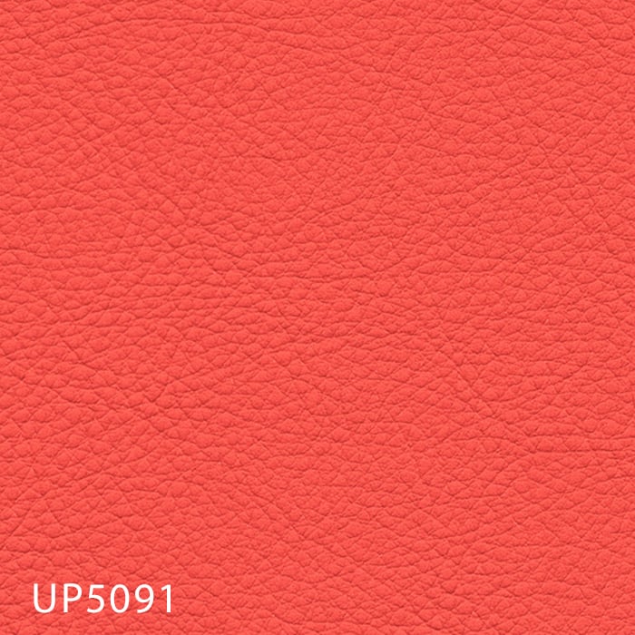 color chip