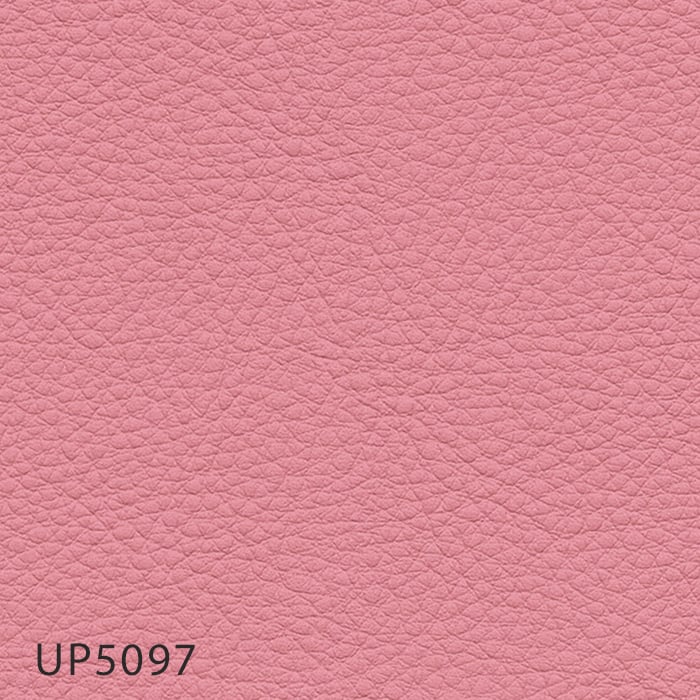 color chip