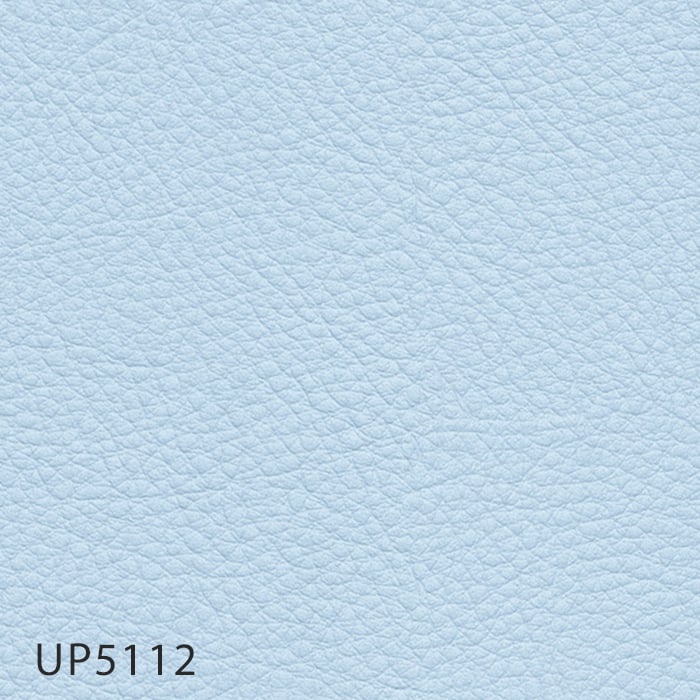 color chip