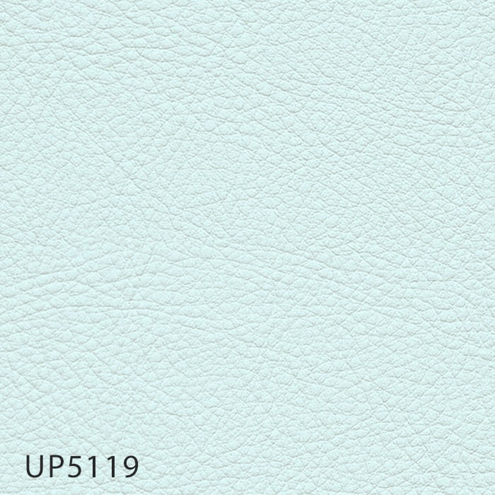 color chip