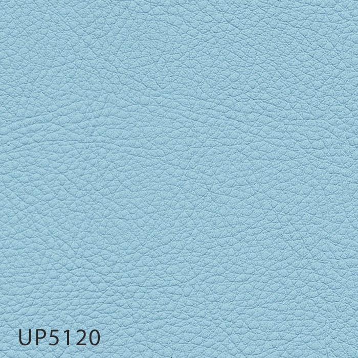 color chip