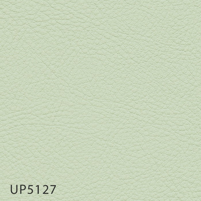 color chip