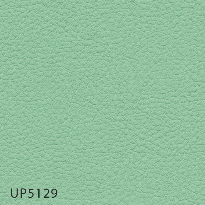 color chip