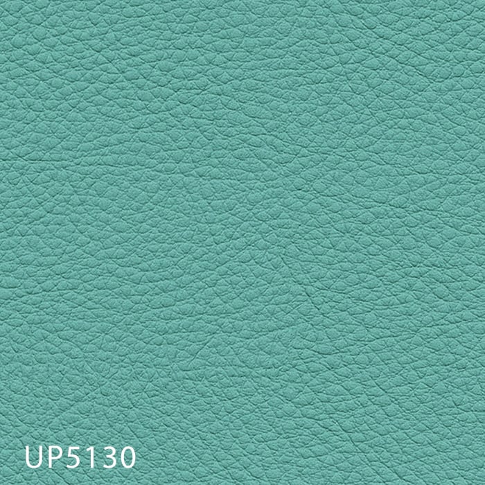 color chip