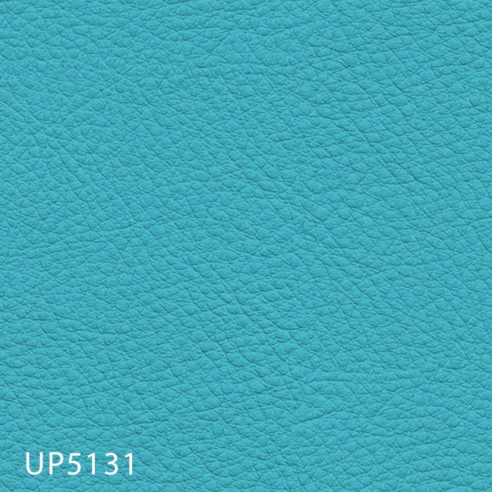 color chip