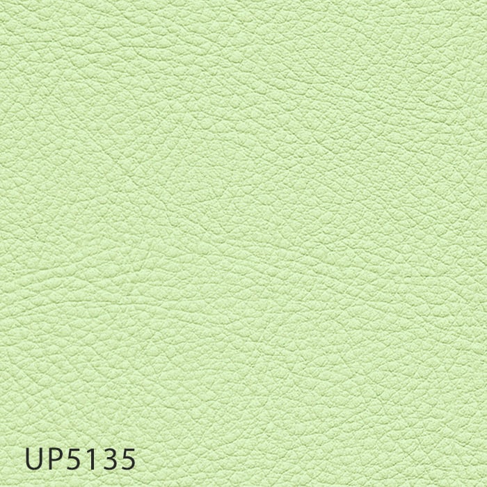 color chip